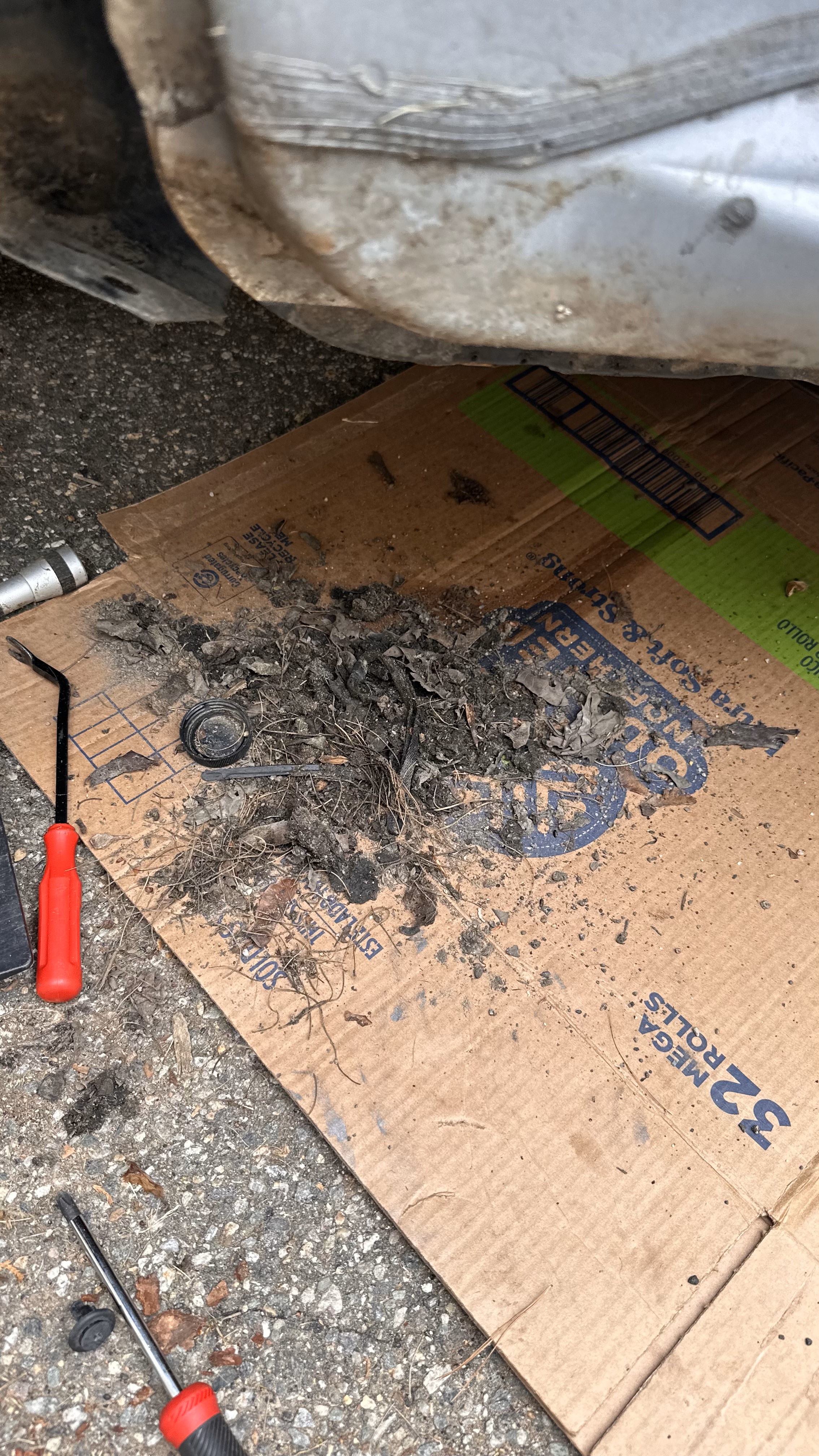 Dirt from fender